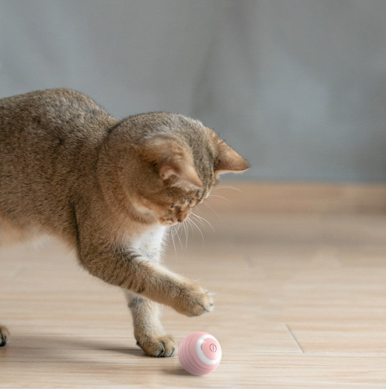 Smart Självrullande Kattboll – Perfekt Aktiveringsleksak för Innekatt